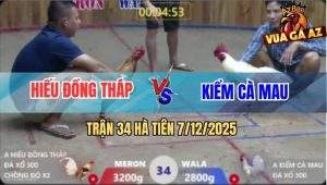 Trận 34 Hà Tiên 7/12/2025 - Camelo Anh Hiếu Chồng Độ Lụm Gần Tỷ