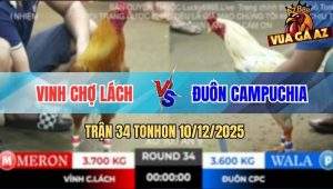 Trận 34 TonHon 10/12/2025 - Gà Khét Đâm Bướm Anh Đuôn Không Kịp Chạy
