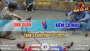 Trận 37 Hà Tiên 7/12/2025 - Bảo Sting Thả Đá Chân Không Cũng Có Tiền