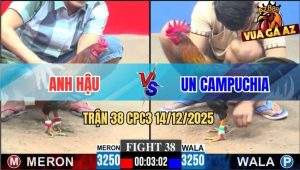 Trận 38 CPC3 14/12/2025 - Điều Lá Anh Un CPC Đá Điều Đỏ Bại Liệt
