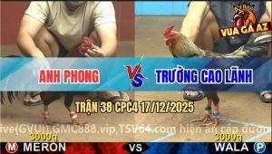 Trận 38 CPC4 17/12/2025 - Điều Anh Phong Có Chân Xạo Lờ Hạ Xám Chuối