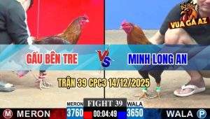 Trận 39 CPC3 14/12/2025 - Điều Cọp Má Minh Bú Điều Anh Gấu Quỳ Gối