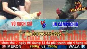 Trận 39 CPC5 5/12/2025 - Gà Ô Chưa Kịp Dỡ Giờ Bướm Đâm Chạy Kêu Miệng