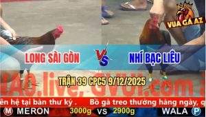 Trận 39 CPC5 9/12/2025 - Điều Cọp Anh Long Có Chân Khóa Sổ Điều Xanh