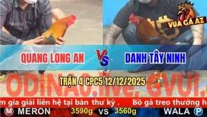 Trận 4 CPC5 12/12/2025 - Điều Anh Danh Đánh Chặn Hay Đâm Que Nằm Đống