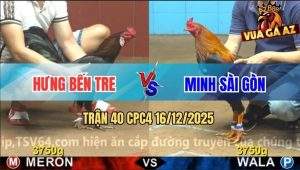 Trận 40 CPC4 16/12/2025 - Gà Điều Đâm Que Tích Vôi Không Sót Chân Nào