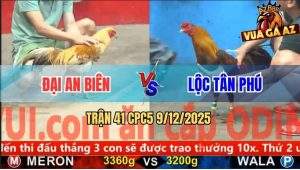 Trận 41 CPC5 9/12/2025 - Khét Anh Hai Cắn Bình Dầu Camelo Chạy Bay Bồ