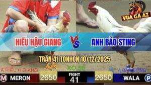 Trận 41 TonHon 10/12/2025 - Anh Hiếu Hậu Giang Hạ Luôn Anh Bảo Sting
