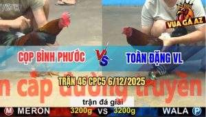 Trận 46 CPC5 6/12/2025 - Anh Cọp Bình Phước Gặp Anh Toàn Đặng