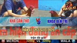 Trận 47 CPC5 6/12/2025 - Anh Kha Cần Thơ Gặp Anh Khoa Bến Tre
