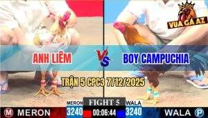 Trận 5 CPC3 7/12/2025 - Camelo Anh Liêm Bú Cây Cần Gà Vàng Bể Bóng Đèn