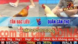 Trận 5 CPC5 11/12/2025 - Úa Anh Quân Né Hay Tải Cựa Tốt Đá Đỏ Tốc Chạy