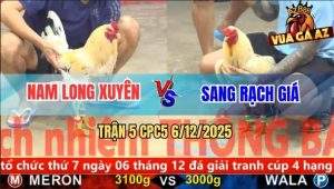 Trận 5 CPC5 6/12/2025 - Bướm Anh Nam Băm Bướm Anh Sang Ra Máu Lỏng