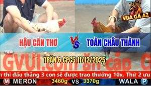 Trận 6 CPC5 11/12/2025 - Hai Con Tang Nặng, Bướm Anh Hâu Bỏ Chạy Trước