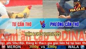 Trận 6 CPC5 13/12/2025 - Gà Que Có Chân Xạo Lờ Đâm Chuối Chín Rụng