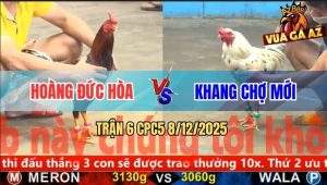 Trận 6 CPC5 8/12/2025 - Đao Phủ Đội Lốt Điều Đuôi Lao Anh Hoàng
