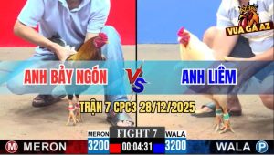 Trận 7 CPC3 28/12/2025 - Gà Bướm Anh Liêm May Độ Có Chân Xạo Lờ