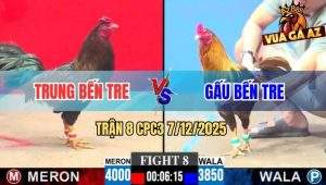 Trận 8 CPC3 7/12/2025 - Que Để Cây Lưng Gà Khét Anh Gấu Sum Tỳ Hết Cứu