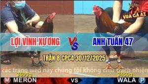 Trận 8 CPC4 30/12/2025 - Khét Anh Tuấn Có Chân Chuyển Bại Thành Thắng