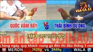 Trận 8 CPC5 11/12/2025 - Gà Xám Anh Thái Đá Camelo Hư Khớp Gối