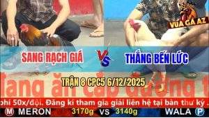 Trận 8 CPC5 6/12/2025 - Bướm Anh Thắng Đâm Điều Anh Sang Đầu Chấm Đất