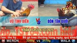 Trận 8 CPC5 8/12/2025 - Điều Xanh Đá Như Cái Máy Điều Đỏ Hết Cửa Về