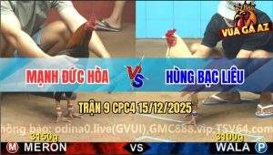 Trận 9 CPC4 15/12/2025 - Úa Cọp Anh Hùng Đá 3 Cước Điều Bật Ngữa