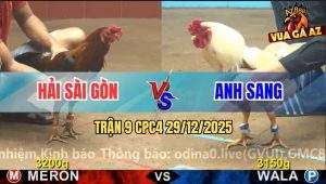 Trận 9 CPC4 29/12/2025 - Bướm Anh Sang Quá Dầy Điều Đâm Không Thấm