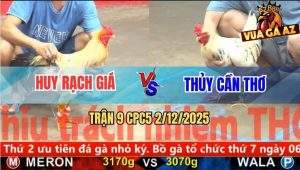 Trận 9 CPC5 2/12/2025 - Gà Bướm Anh Thủy Vô Kính Sợ Bung Chạy