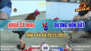 Trận 9 Xà Xía 29/12/2025 - Điều Siết Cây Cần Bướm Anh Dương Ngã Ngửa