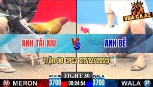 Trận 30 CPC3 21/12/2025