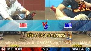 Trận 31 CPC4 18/12/2025