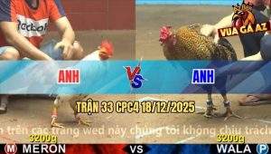 Trận 33 CPC4 18/12/2025