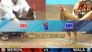 Trận 1 CPC4 18/12/2025