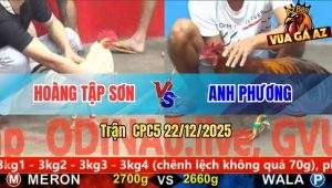 Trận 12 CPC5 22/12/2025