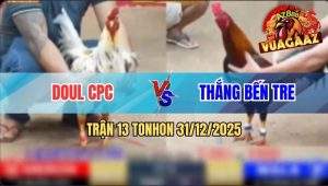 Trận 13 Tonhon 31/12/2025