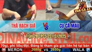 Trận 28 CPC5 22/12/2025