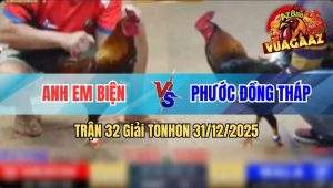 Trận 32 Tonhon 31/12/2025