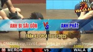 Trận 42 CPC4 17/12/2025