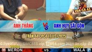 Trận 44 CPC4 17/12/2025
