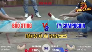 Trận 56 Xà Xía 19/12/2025