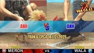 Trận 6 CPC4 18/12/2025