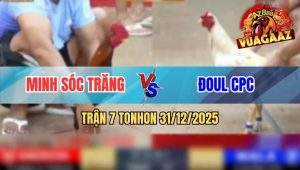 Trận 7 Tonhon 31/12/2025