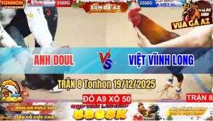 Trận 8 Tonhon 19/12/2025