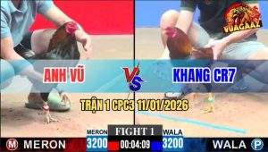 Trận 1 CPC3 11/1/2026 - Xanh Lùa Đá Tốc Độ Đỏ Hư Kêu Miệng Xin Thua