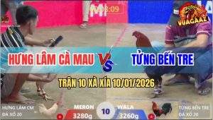 Trận 10 Xà Xía 10/1/2026 - Gà Úa Nắm Nghe Điện Thoại, Que Tiễn Đi Luôn