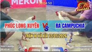 Trận 10 Xà Xía 12/1/2025 - Gà Úa Anh Ra Đá Bướm Mặt Râu Bể Hộp Số