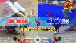 Trận 10 Xà Xía 30/1/2026 - Chuối Đá Như Sam Xít, Điều Lọt Ói Ngập Sân