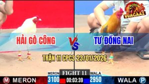 Trận 11 CPC3 23/1/2026 - Super Cúp Đá 3 Số Tới Gà Cú Chạy La Làng