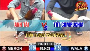 Trận 11 CPC3 25/1/2026 - Úa Lóc Chóc Điều Bú Cây Lưng Té Sấp Mặt